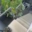 studio apartment for rent agios andreas nicosia nicosia 8238870 thumbnail 16340218