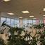 studio office for rent linopetra limassol 8447870 thumbnail 16052230