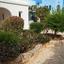 4 bedroom detached house for sale latsi paphos 8441970 thumbnail 15031414