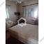 4 bedroom detached house for sale latsia nicosia 8403970 thumbnail 14873592