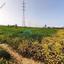 land off market palaiometocho nicosia 1909970 thumbnail 7366232