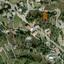 plot for sale kyperounta limassol 8606970 thumbnail 15774394