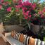 2 bedroom apartment for rent agioi omologitai nicosia 1801080 thumbnail 17267334