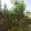 3 bedroom bungalow for sale meneou larnaca 7638080 thumbnail 17081048