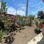 6 bedroom detached house for rent simou paphos 8716080 thumbnail 16293599