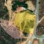 land for sale parekklisia limassol 8513080 thumbnail 15383528