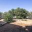 5 bedroom detached house for sale deryneia famagusta 7926180 thumbnail 14349679