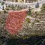 land for sale tsada paphos 8396180 thumbnail 16071783