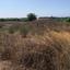 plot for sale geroskipou paphos 8920180 thumbnail 17549806