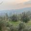 land for sale lageia larnaca 7871280 thumbnail 11380823