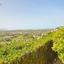 4 bedroom detached house for sale peyia paphos 8529380 thumbnail 15453990