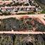 land for sale souni zanakia limassol 8629380 thumbnail 15867947