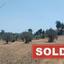 land sold shia nicosia 7839380 thumbnail 10780433