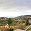 4 bedroom detached house for sale tsada paphos 8959480 thumbnail 17781968