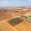 land for sale avgorou famagusta 1393480 thumbnail 10510596