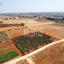 land for sale avgorou famagusta 1393480 thumbnail 15891765