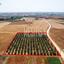 land for sale avgorou famagusta 1393480 thumbnail 15891766