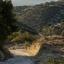 land for sale koili paphos 7739480 thumbnail 11943134