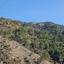 land for sale farmakas nicosia 8726580 thumbnail 16332420