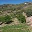 3 bedroom bungalow for sale kilinia paphos 8450680 thumbnail 15082027