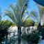 3 bedroom detached house for rent livadia larnacas larnaca 7703680 thumbnail 16145494