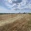 land for sale alaminos larnaca 7873780 thumbnail 11394794