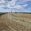 land for sale alaminos larnaca 7873780 thumbnail 11394795