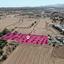 land for sale pera orinis nicosia 1203780 thumbnail 2807064