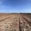 plot for sale ormideia larnaca 1225780 thumbnail 16817911