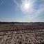 plot for sale ormideia larnaca 1225780 thumbnail 16817939