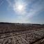 plot for sale ormideia larnaca 1225780 thumbnail 16817946