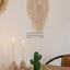 1 bedroom apartment for sale paphos municipality paphos 8813880 thumbnail 16874937