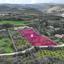 6300 SQM Plot for sale in Skoulli, Paphos thumbnail 14188782