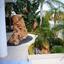 4 bedroom detached house for sale limassol municipality limassol 228880 thumbnail 260813