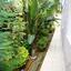 4 bedroom detached house for sale limassol municipality limassol 228880 thumbnail 260814