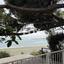 4 bedroom semi detached house for rent agios tychonas limassol 8381880 thumbnail 14875397