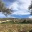 land for sale peristerona pafou paphos 945880 thumbnail 15599812