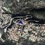 land for sale tsada paphos 8286880 thumbnail 14030619