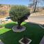 3 bedroom detached house for rent souni zanakia limassol 8785980 thumbnail 16693218