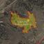 19065 SQM Land for sale in Agia Marina Xyliatou, Nicosia thumbnail 3191260