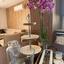 3 bedroom apartment for rent limassol municipality limassol 8880090 thumbnail 17262765