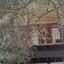 3 bedroom semi detached house for sale vouni limassol 1445090 thumbnail 3377692