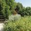 4 bedroom apartment for rent kritou tera paphos 8615090 thumbnail 15809882