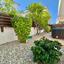 1 bedroom apartment for rent kato paphos universal paphos 8950190 thumbnail 17747468