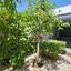 4 bedroom detached house for sale livadia larnacas larnaca 8056190 thumbnail 12955468