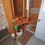 4 bedroom detached house for sale livadia larnacas larnaca 8056190 thumbnail 12955483