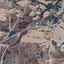 plot for sale meladia paphos 1684190 thumbnail 4400803