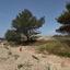 plot for sale souni zanakia limassol 8754190 thumbnail 16512713