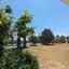 6 bedroom detached house for sale ergates nicosia 1729290 thumbnail 5540392