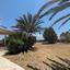 6 bedroom detached house for sale ergates nicosia 1729290 thumbnail 5540405